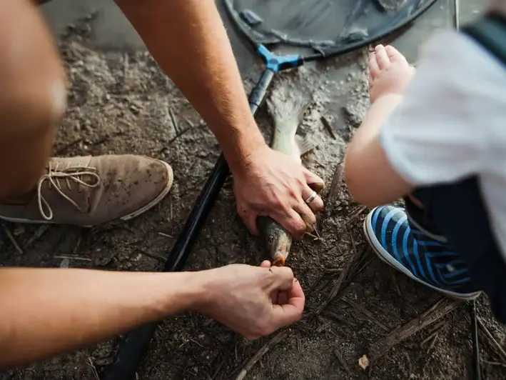 Professional service work by SnoFalls Plumbing LLC in Auburn